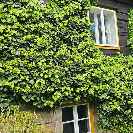 Utulna V Beskydech S Krbem A Vyhledy Lodge