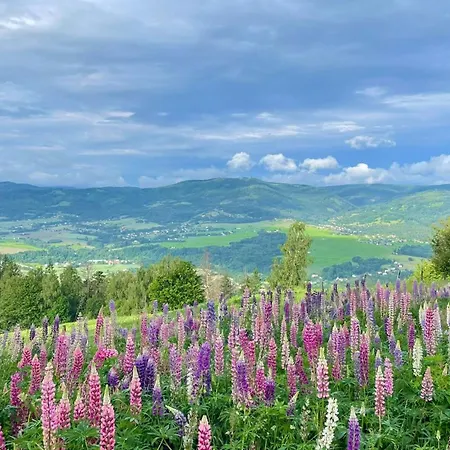 Utulna V Beskydech S Krbem A Vyhledy Lodge *